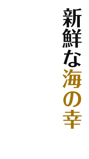 新鮮な海の幸